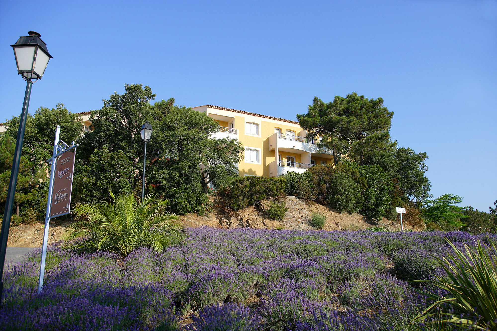 Residence Pierre & Vacances Les Terrasses Des Issambres Les Issambres Eksteriør billede