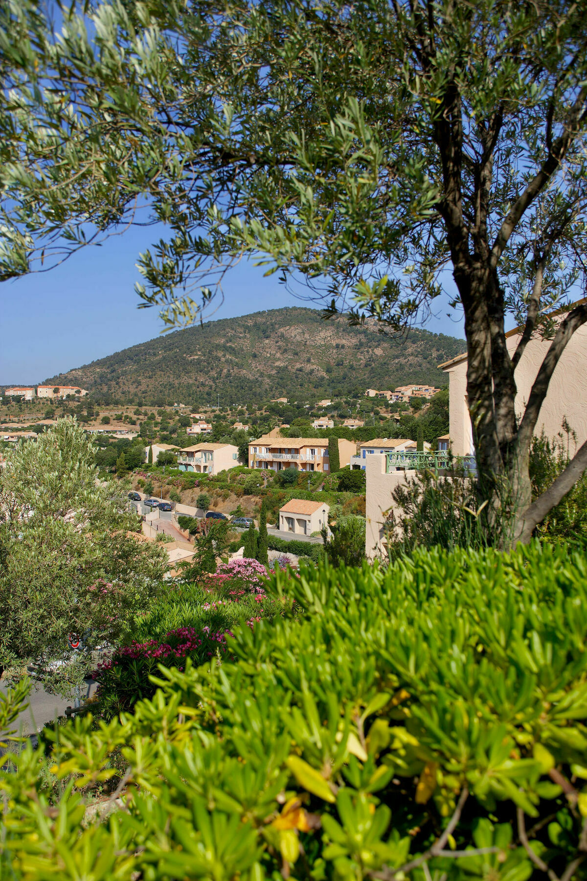 Residence Pierre & Vacances Les Terrasses Des Issambres Les Issambres Eksteriør billede
